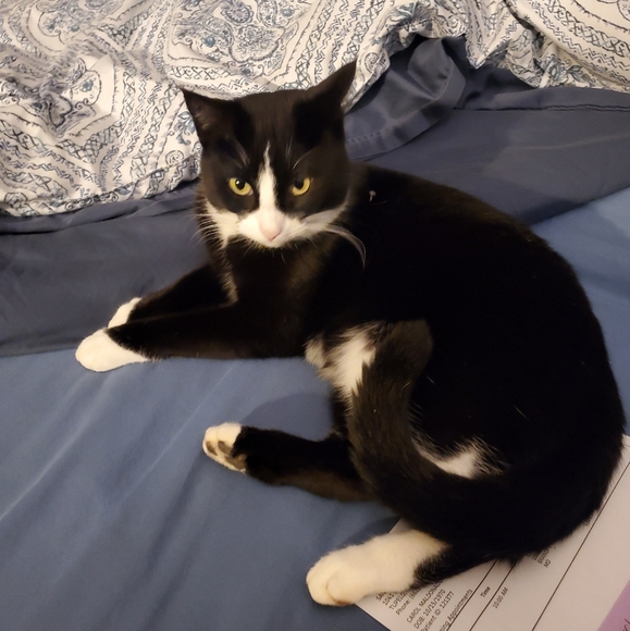 Meet your Posher, Carol - Picture 3 of 5